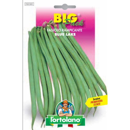 Fagiolo rampicante blue - blue, lake