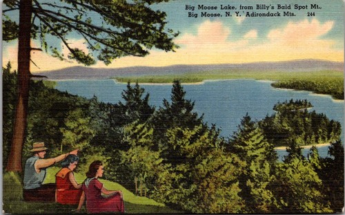 Cartolina adirondack mountains - cartolina,