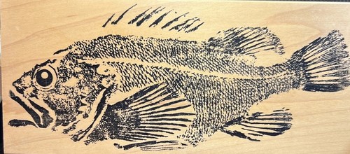 Fred mullett fish stampa - mullett,