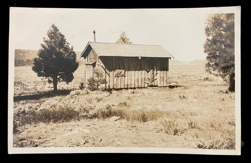 Big bear lake - bear,