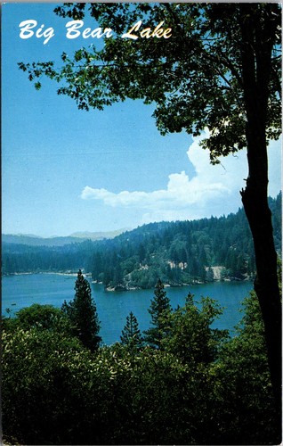 Big bear lake california - bear,