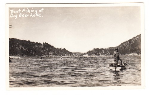 Big bear lake california trout - big,
